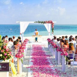 Wedding on beach with blue sea in background